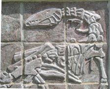 dinosaur betsy towns
