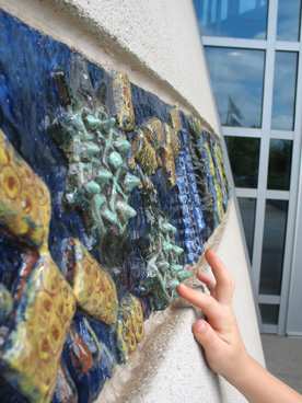 algae touch betsy towns